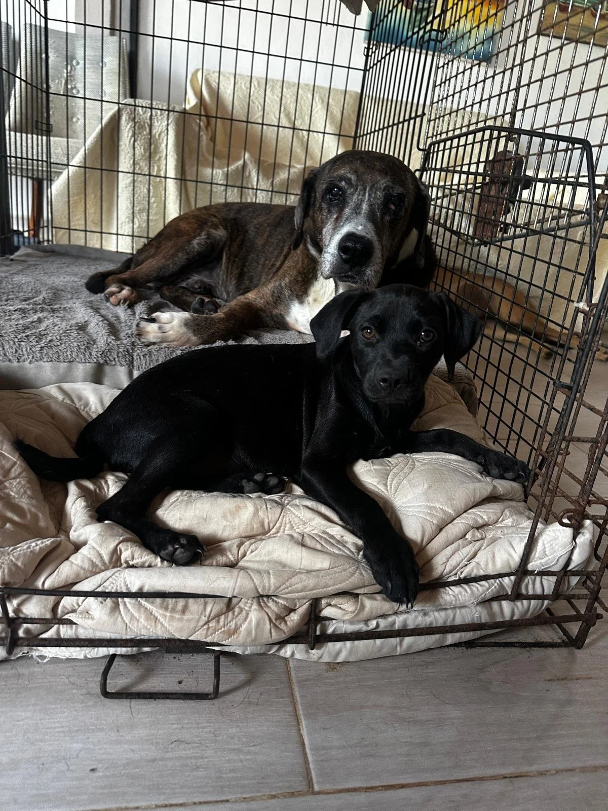 WhatsApp Image 2026-03-03 at 4.16.03 PM.jpeg