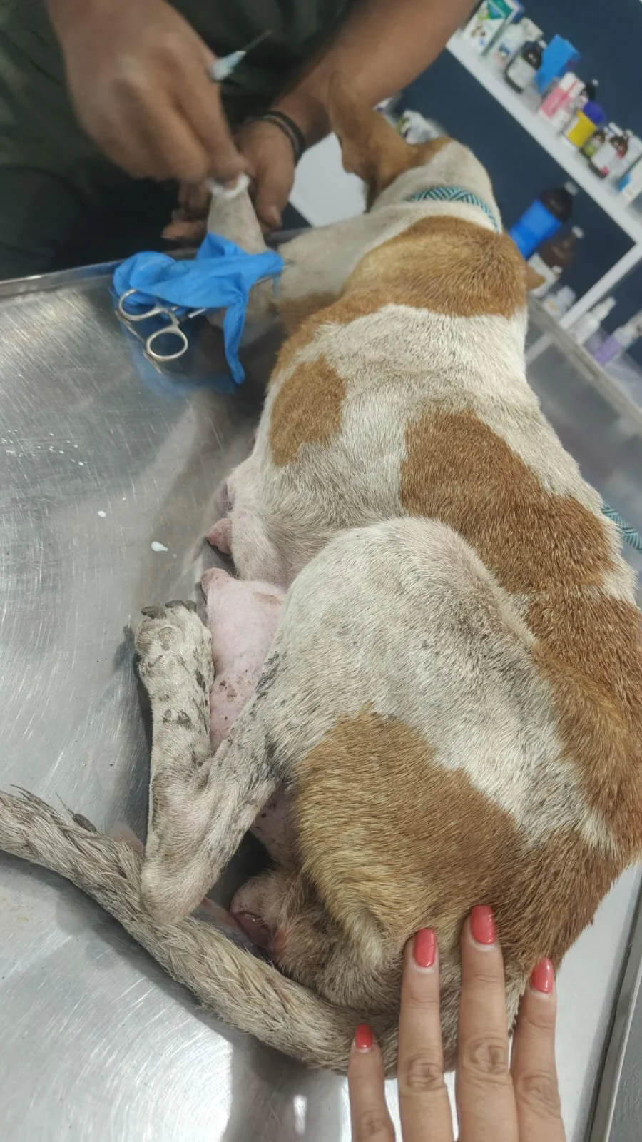 WhatsApp Image 2026-03-04 at 10.37.43 AM (1).jpeg