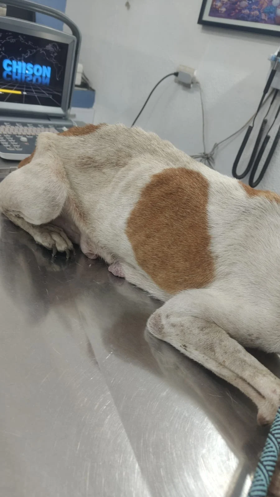 WhatsApp Image 2026-03-04 at 10.37.43 AM (3).jpeg