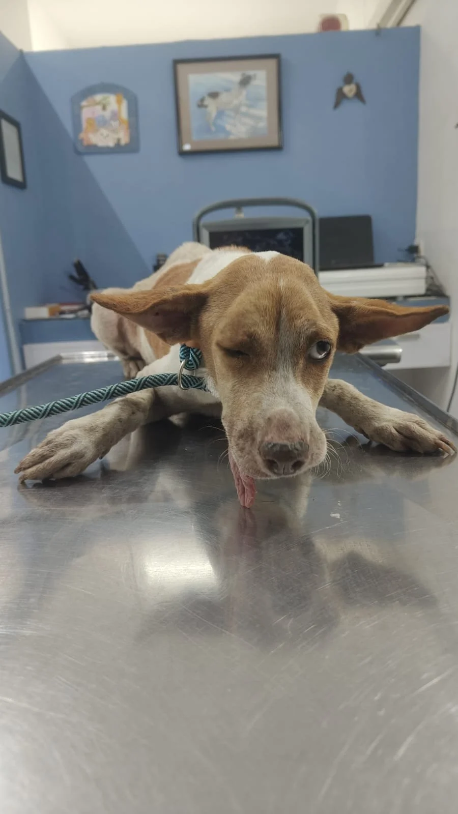 WhatsApp Image 2026-03-04 at 10.37.43 AM (4).jpeg