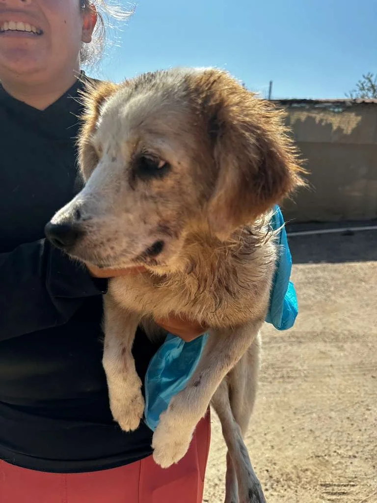 WhatsApp Image 2026-03-02 at 3.45.08 PM (1) (1).jpeg