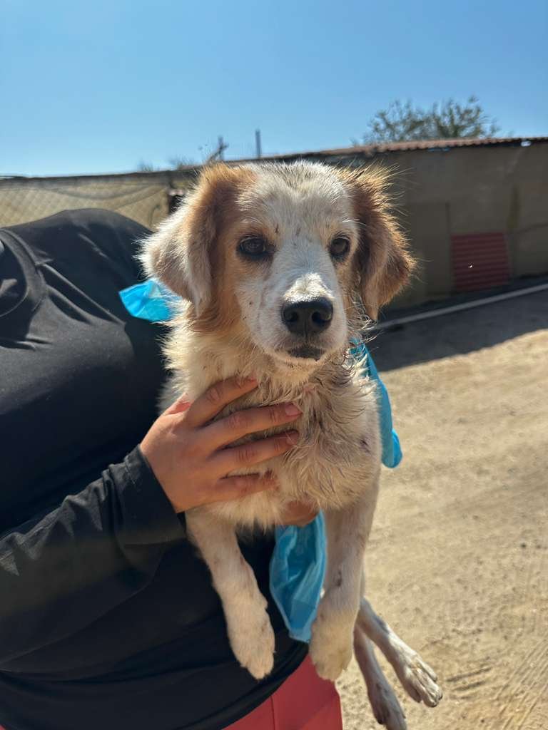 WhatsApp Image 2026-03-02 at 3.45.07 PM (1).jpeg