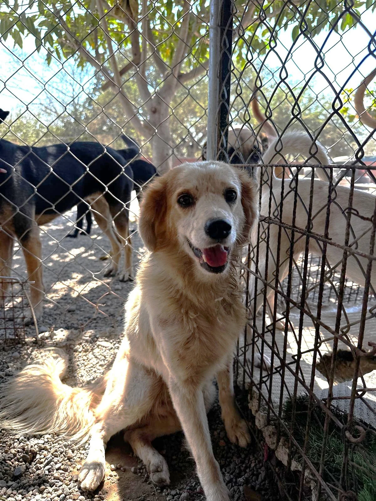 WhatsApp Image 2026-03-03 at 4.17.26 PM.jpeg