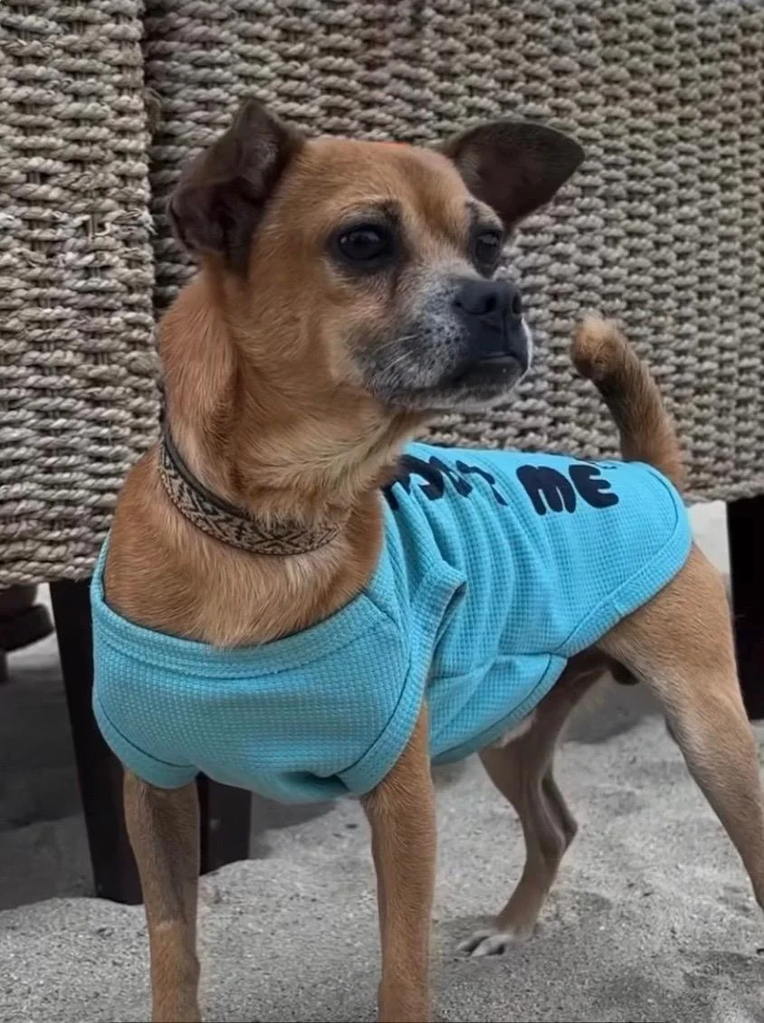 WhatsApp Image 2026-03-05 at 11.13.59 AM.jpeg