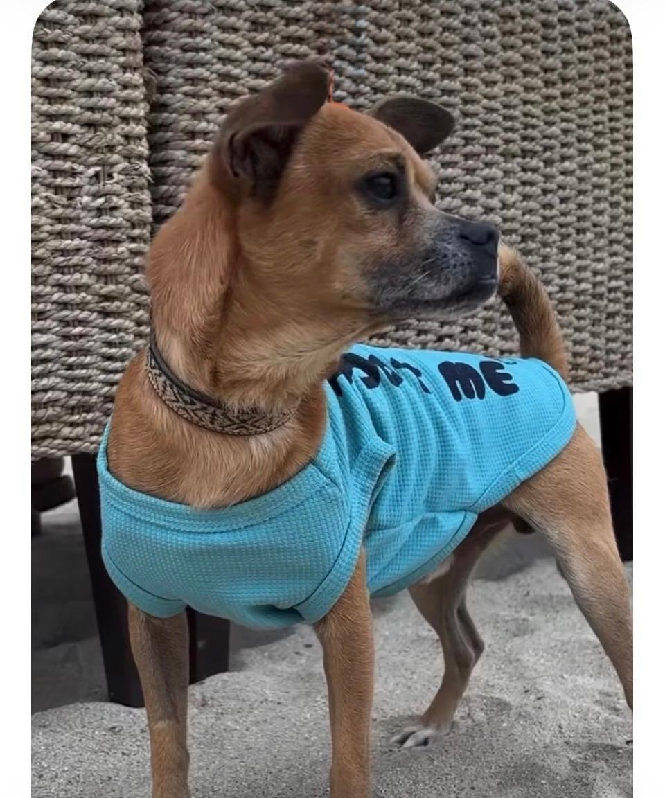 WhatsApp Image 2026-03-05 at 11.13.59 AM (1).jpeg