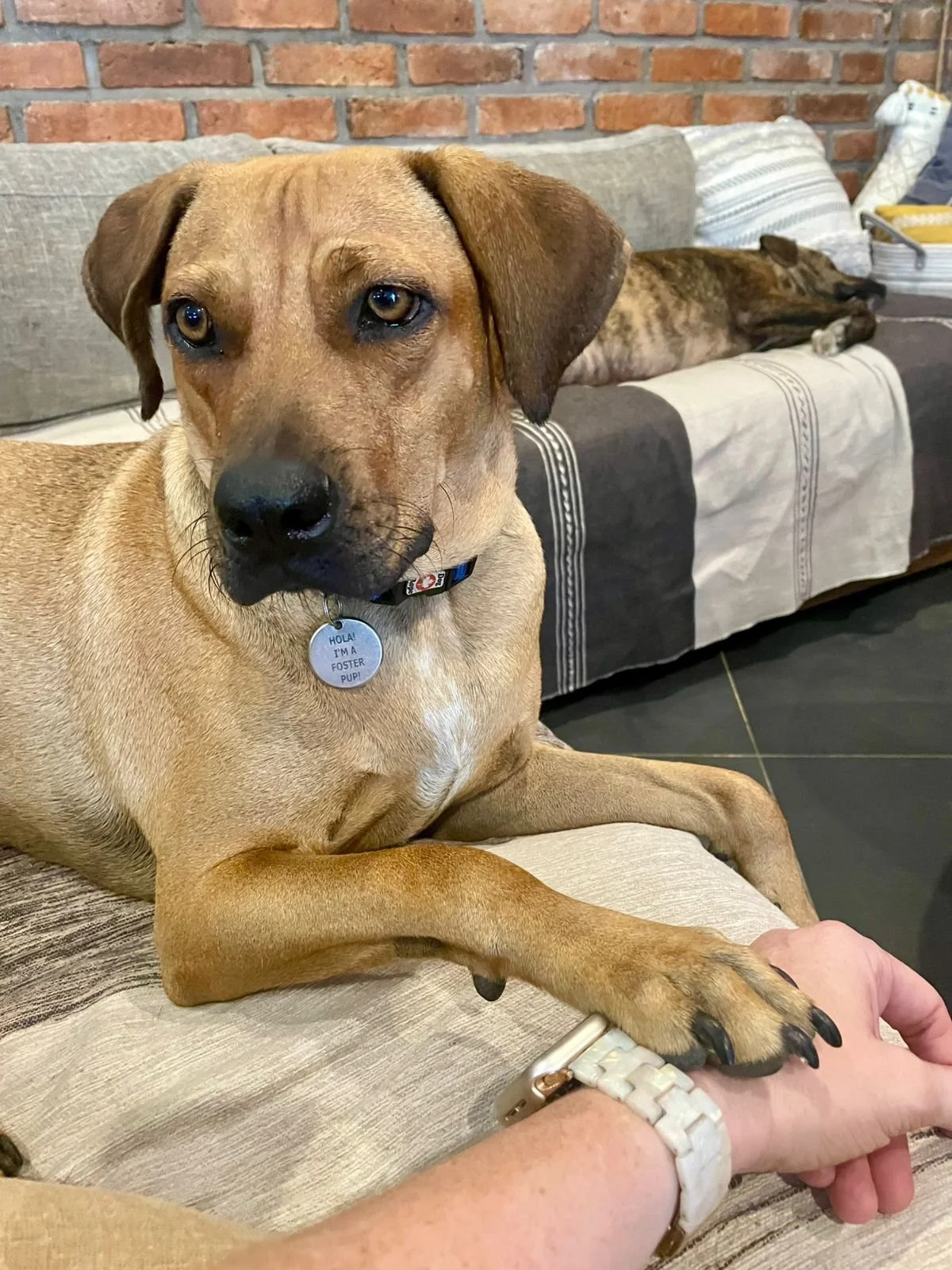 WhatsApp Image 2026-03-04 at 5.07.36 PM (2).jpeg