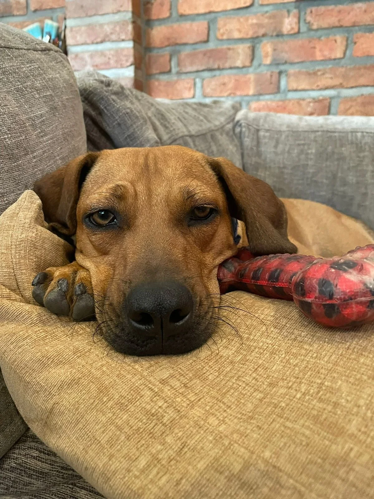 WhatsApp Image 2026-03-04 at 5.07.36 PM (3).jpeg