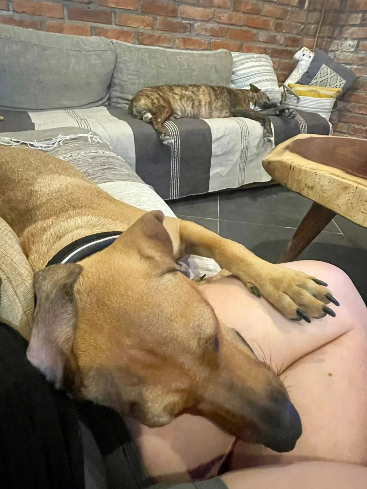 WhatsApp Image 2026-03-04 at 5.07.36 PM.jpeg