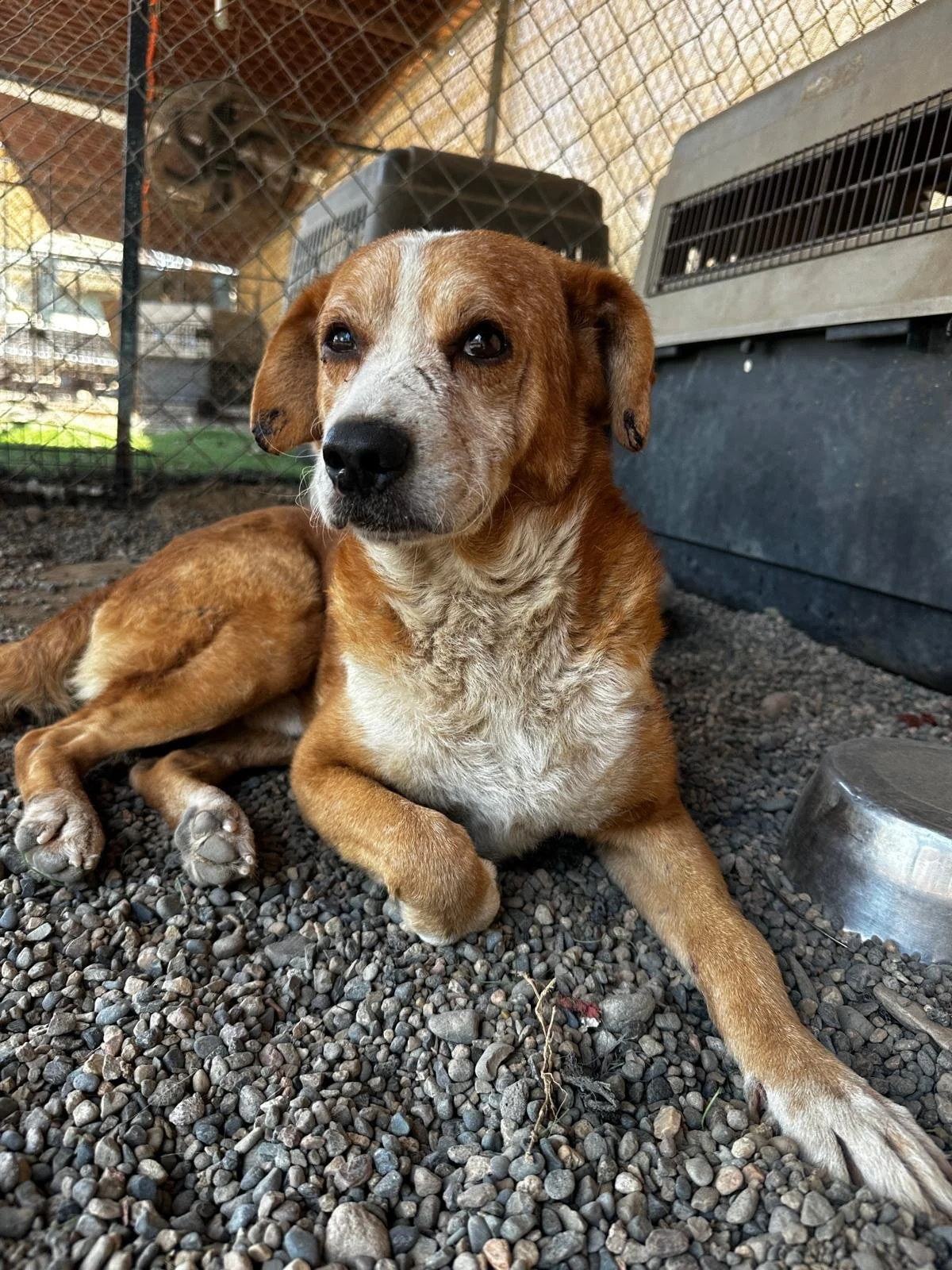 WhatsApp Image 2026-03-05 at 2.51.00 PM (3).jpeg