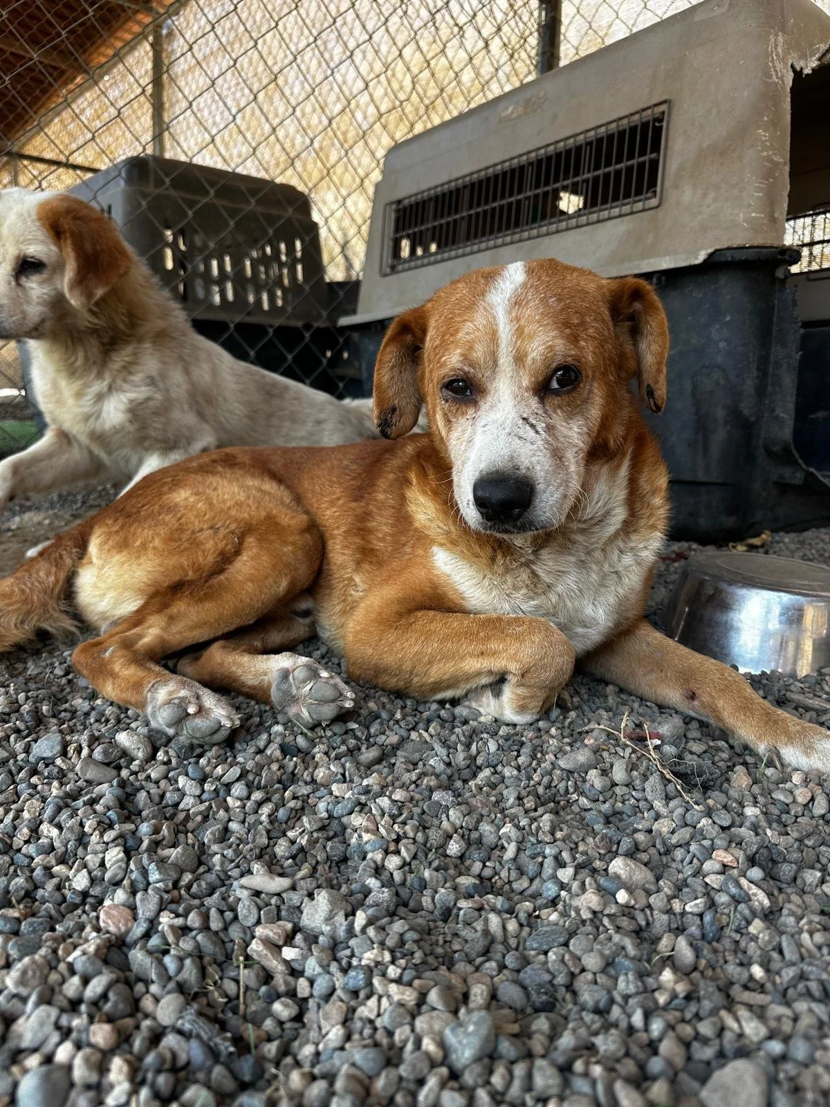 WhatsApp Image 2026-03-05 at 2.51.00 PM (1).jpeg