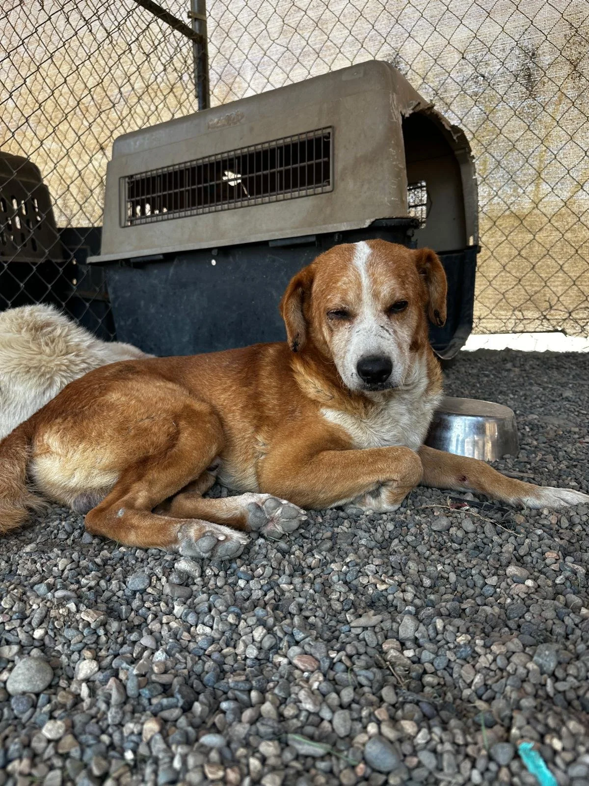 WhatsApp Image 2026-03-05 at 2.51.00 PM.jpeg