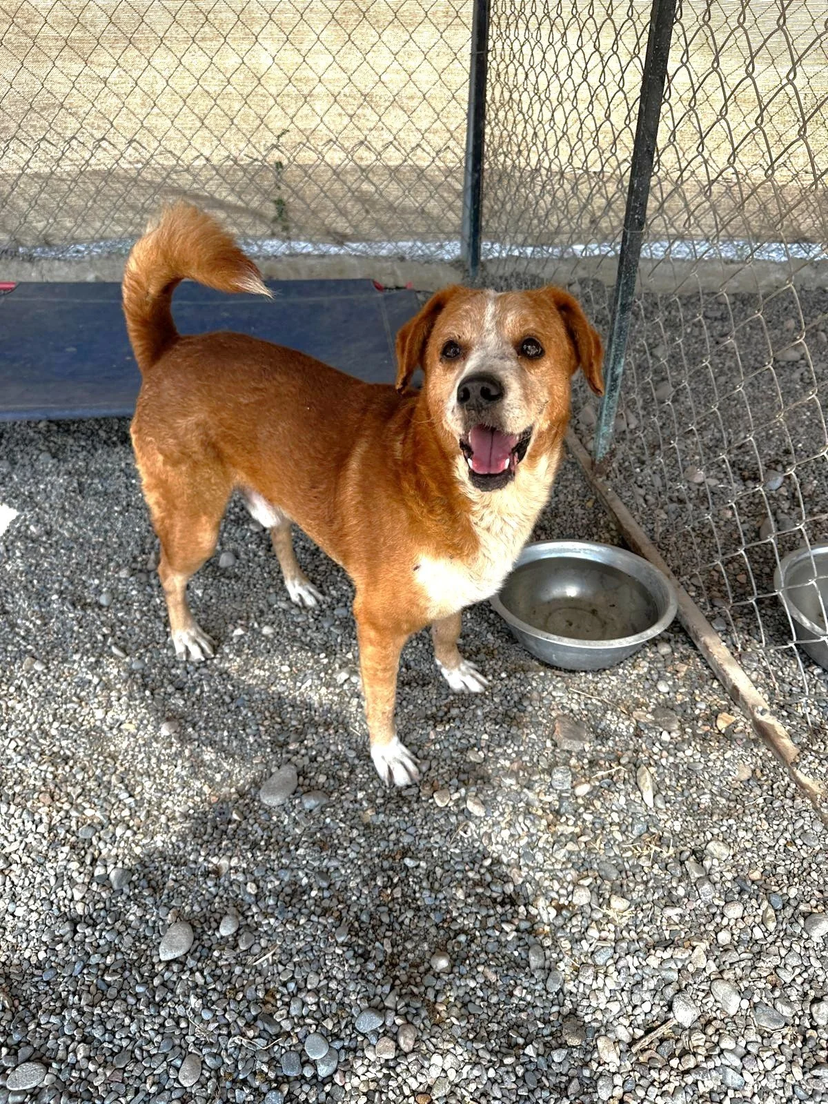 WhatsApp Image 2026-03-03 at 4.18.08 PM.jpeg