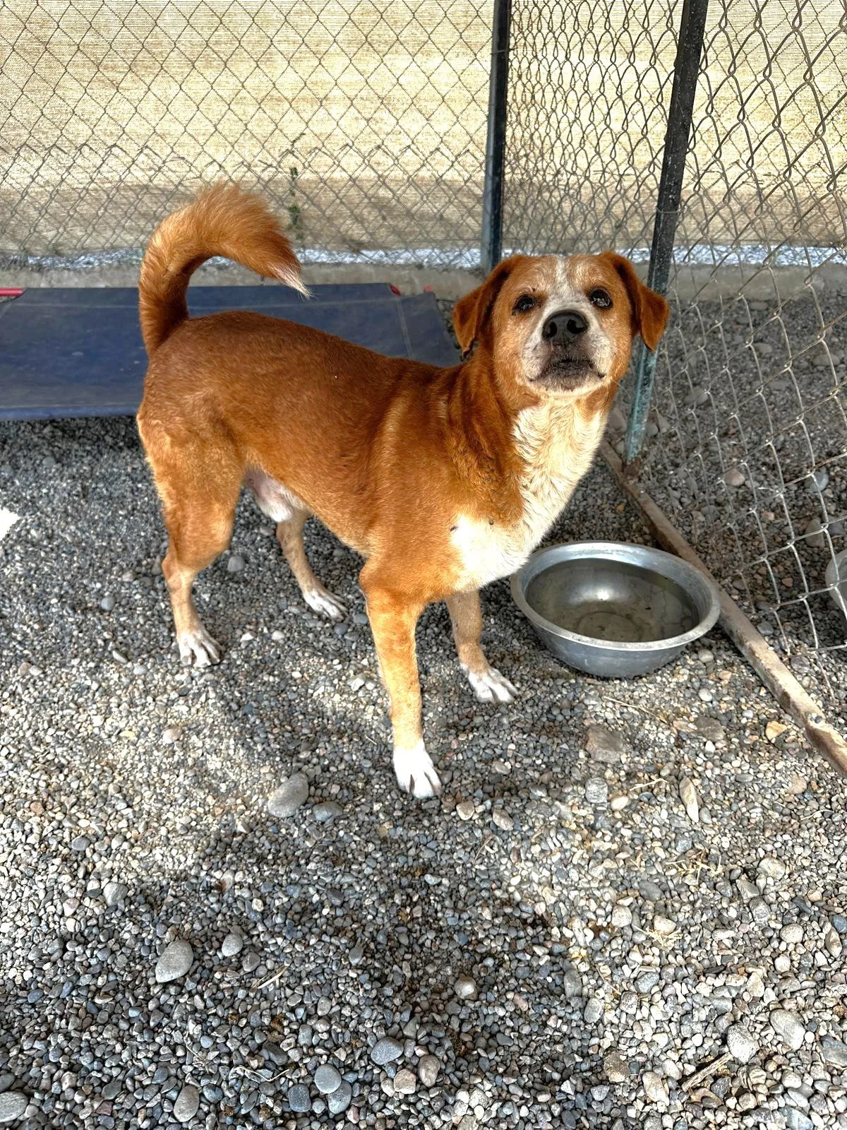 WhatsApp Image 2026-03-03 at 4.18.08 PM (1).jpeg