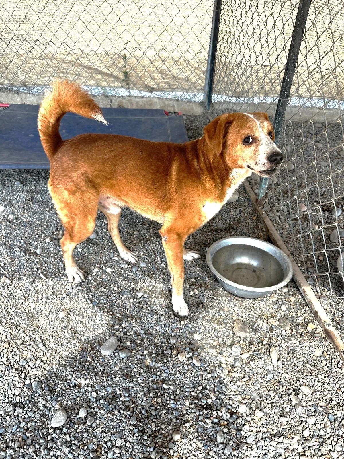 WhatsApp Image 2026-03-03 at 4.18.08 PM (2).jpeg