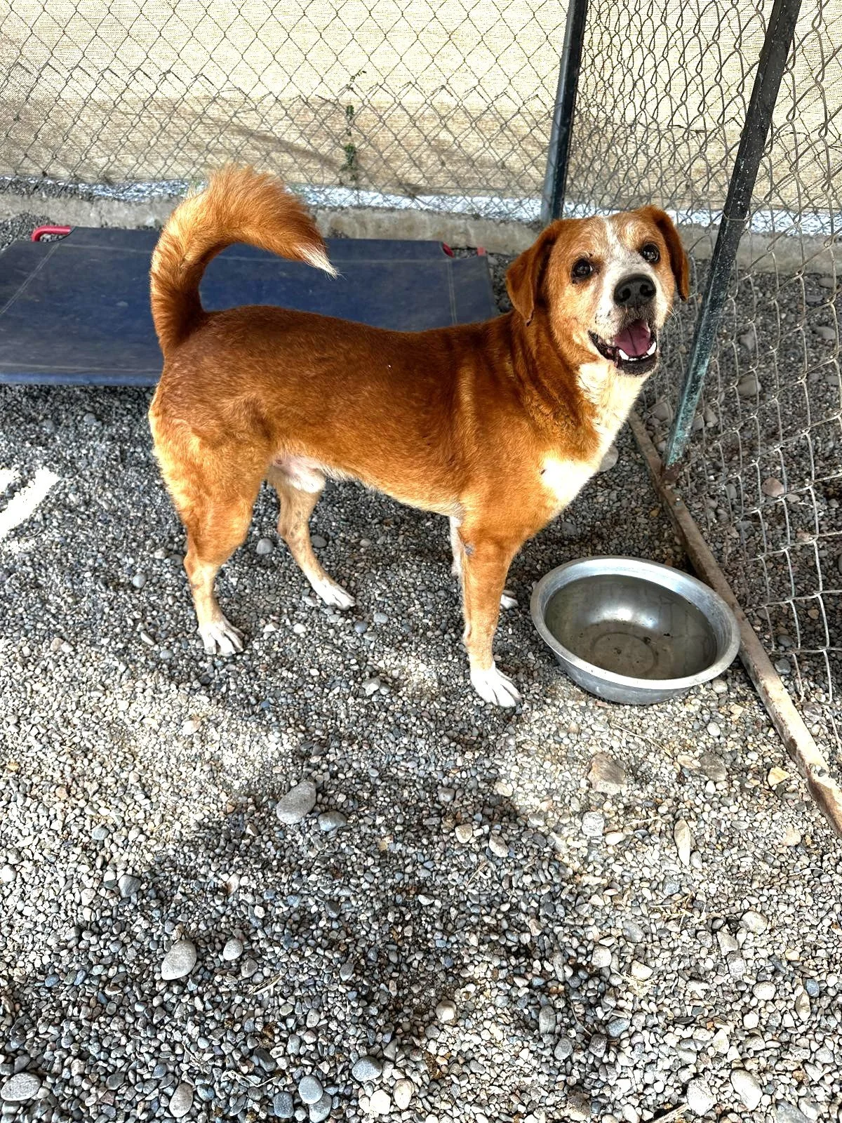 WhatsApp Image 2026-03-03 at 4.18.08 PM (3).jpeg