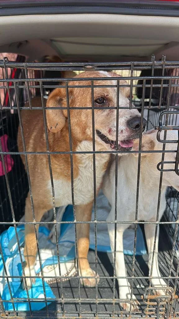 WhatsApp Image 2026-03-02 at 3.45.33 PM (1).jpeg