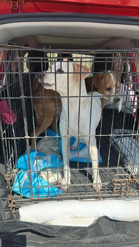 WhatsApp Image 2026-03-02 at 3.45.23 PM (1).jpeg