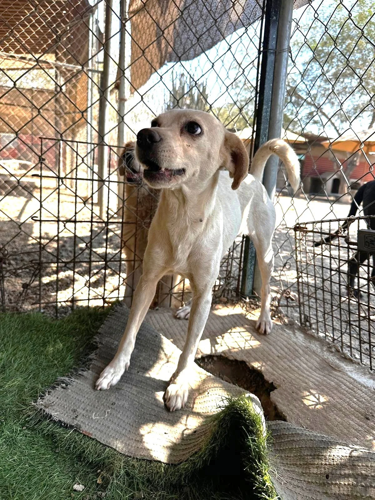 WhatsApp Image 2026-03-03 at 4.17.42 PM (1).jpeg