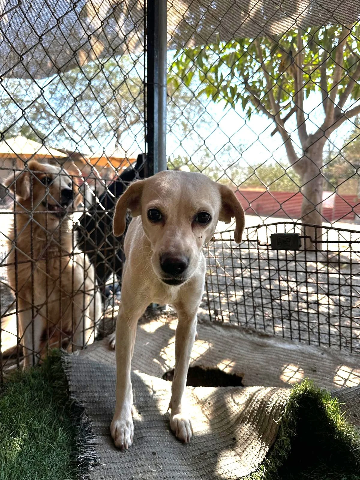 WhatsApp Image 2026-03-03 at 4.17.42 PM.jpeg