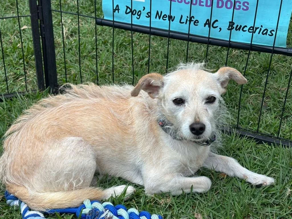 WhatsApp Image 2026-03-09 at 12.02.58 PM (1).jpeg