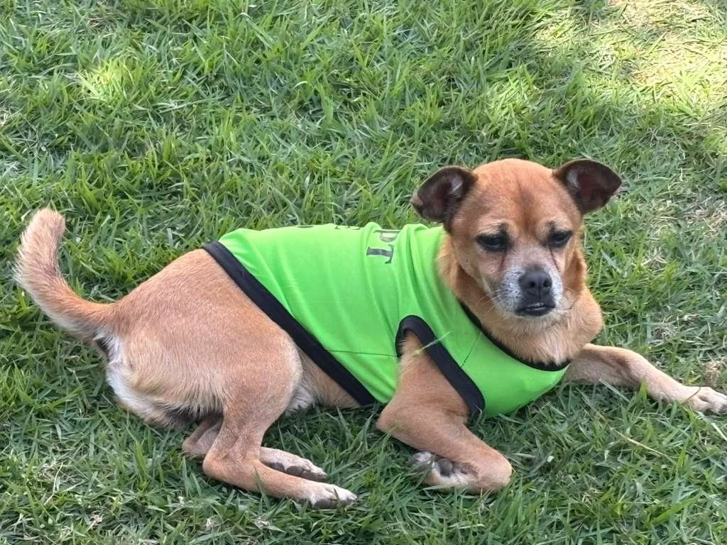 WhatsApp Image 2026-03-09 at 12.02.26 PM.jpeg