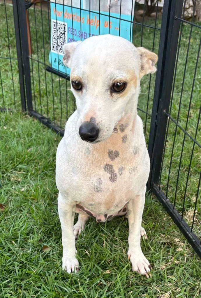 WhatsApp Image 2026-03-09 at 12.04.01 PM.jpeg