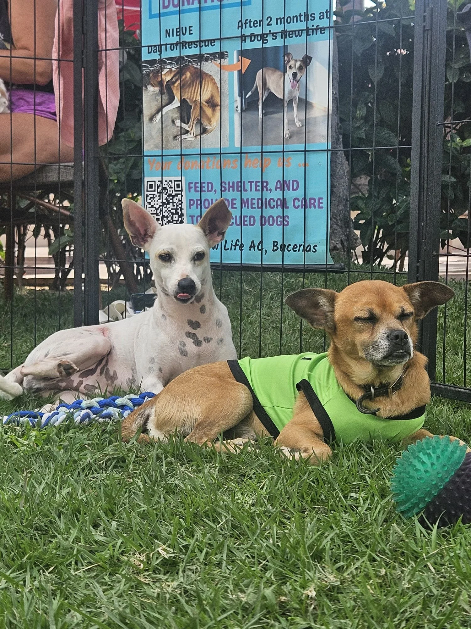 WhatsApp Image 2026-03-09 at 2.03.28 PM.jpeg