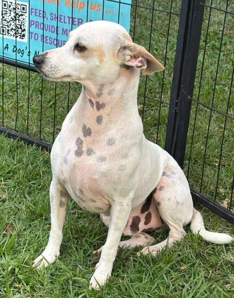 WhatsApp Image 2026-03-09 at 12.02.59 PM.jpeg