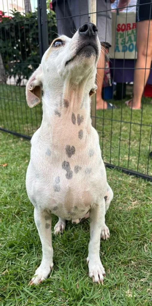 WhatsApp Image 2026-03-09 at 12.03.00 PM.jpeg