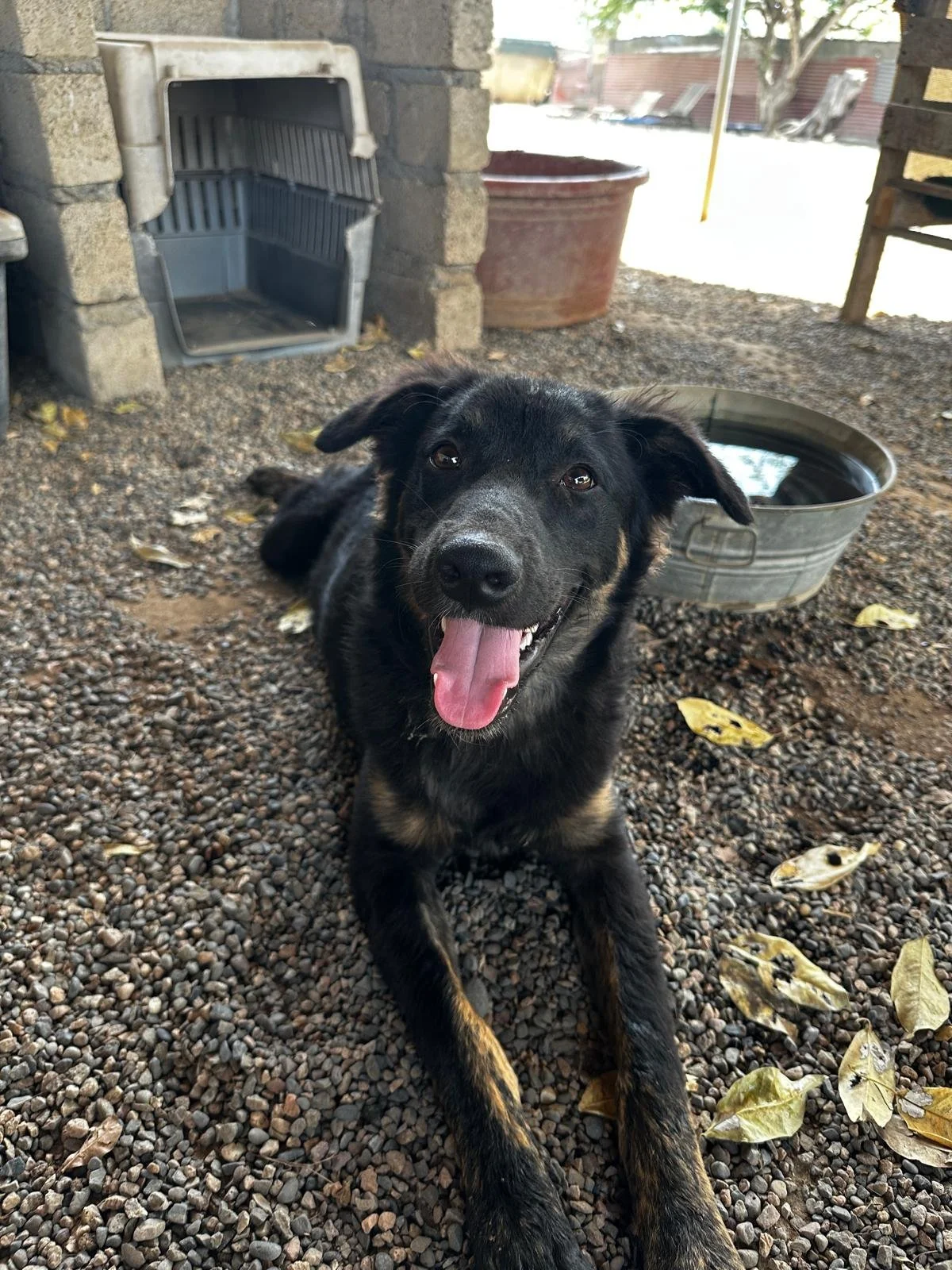 WhatsApp Image 2026-03-09 at 5.02.33 PM.jpeg