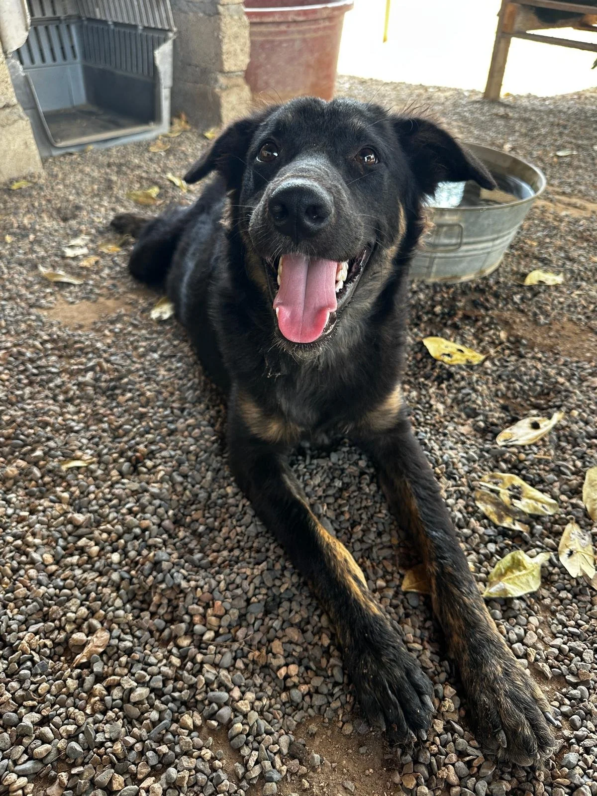 WhatsApp Image 2026-03-09 at 5.02.32 PM (2).jpeg