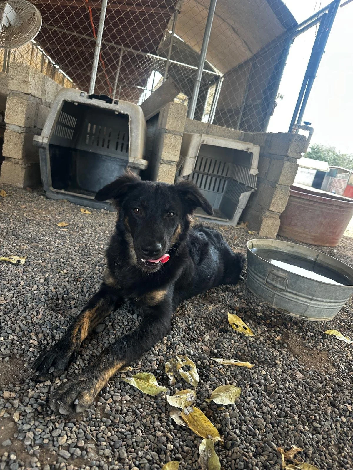 WhatsApp Image 2026-03-09 at 5.02.32 PM.jpeg