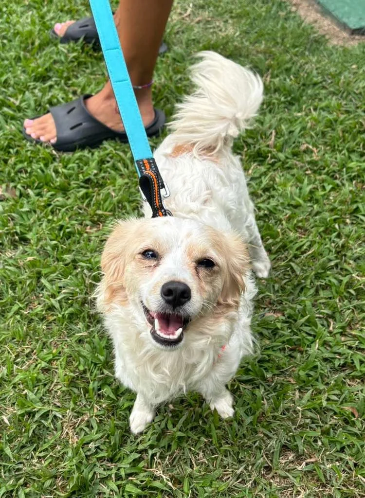 WhatsApp Image 2026-03-09 at 12.02.57 PM.jpeg