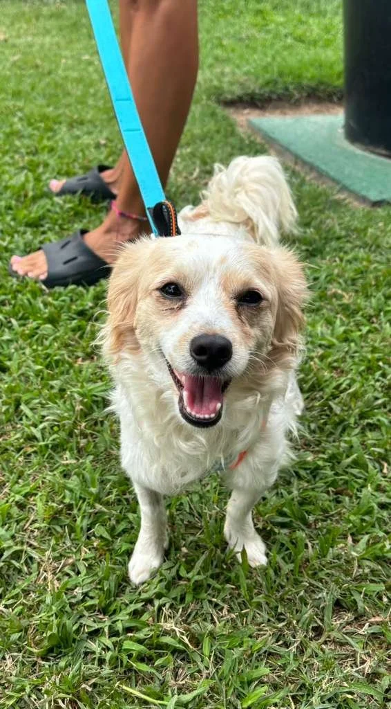 WhatsApp Image 2026-03-09 at 12.02.58 PM.jpeg