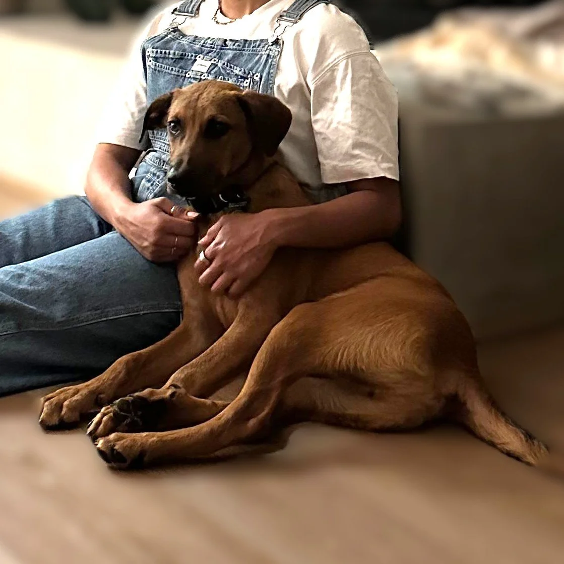 WhatsApp Image 2026-03-03 at 6.40.28 PM (2).jpeg