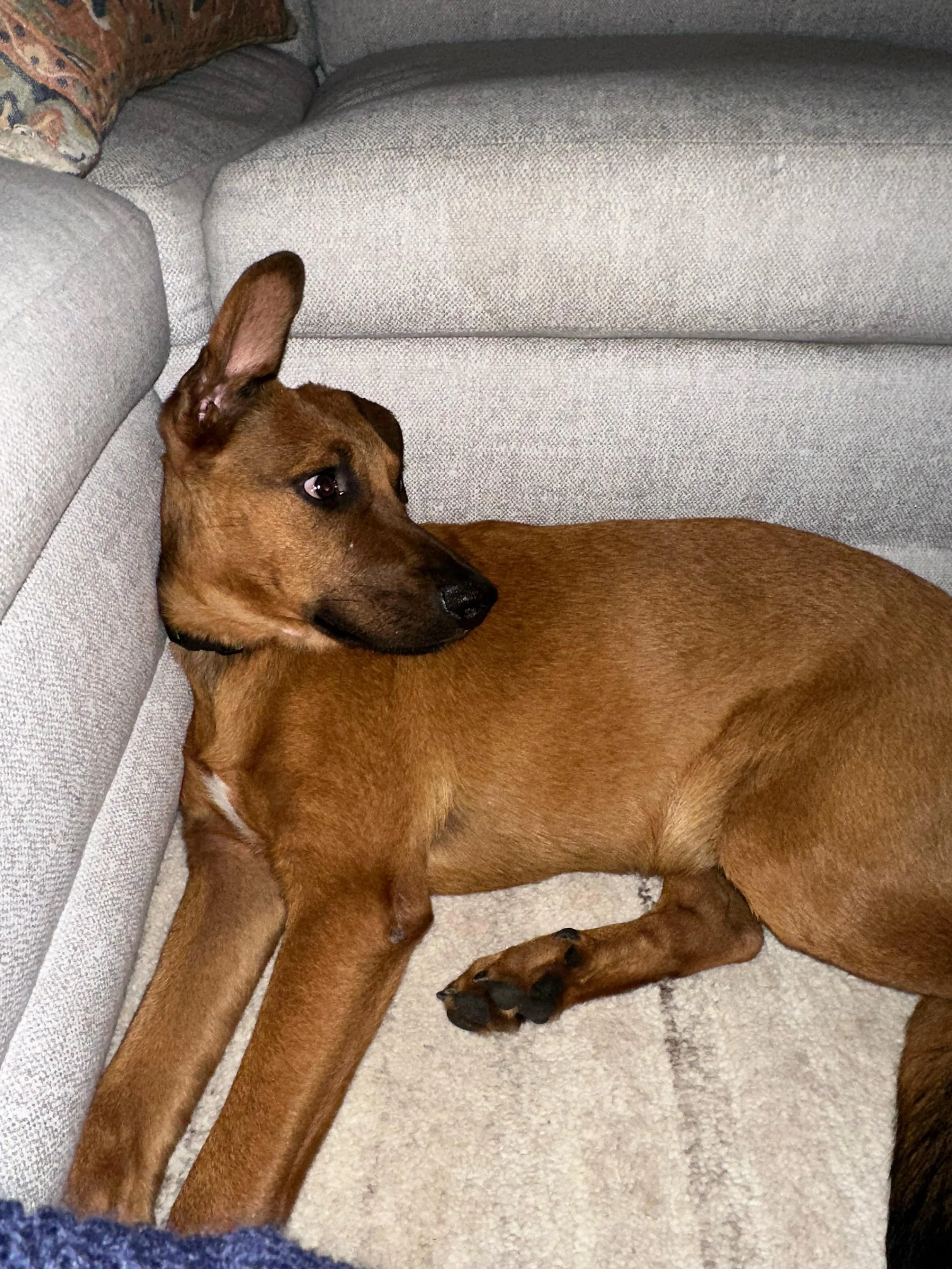 WhatsApp Image 2026-03-10 at 12.16.23 PM.jpeg