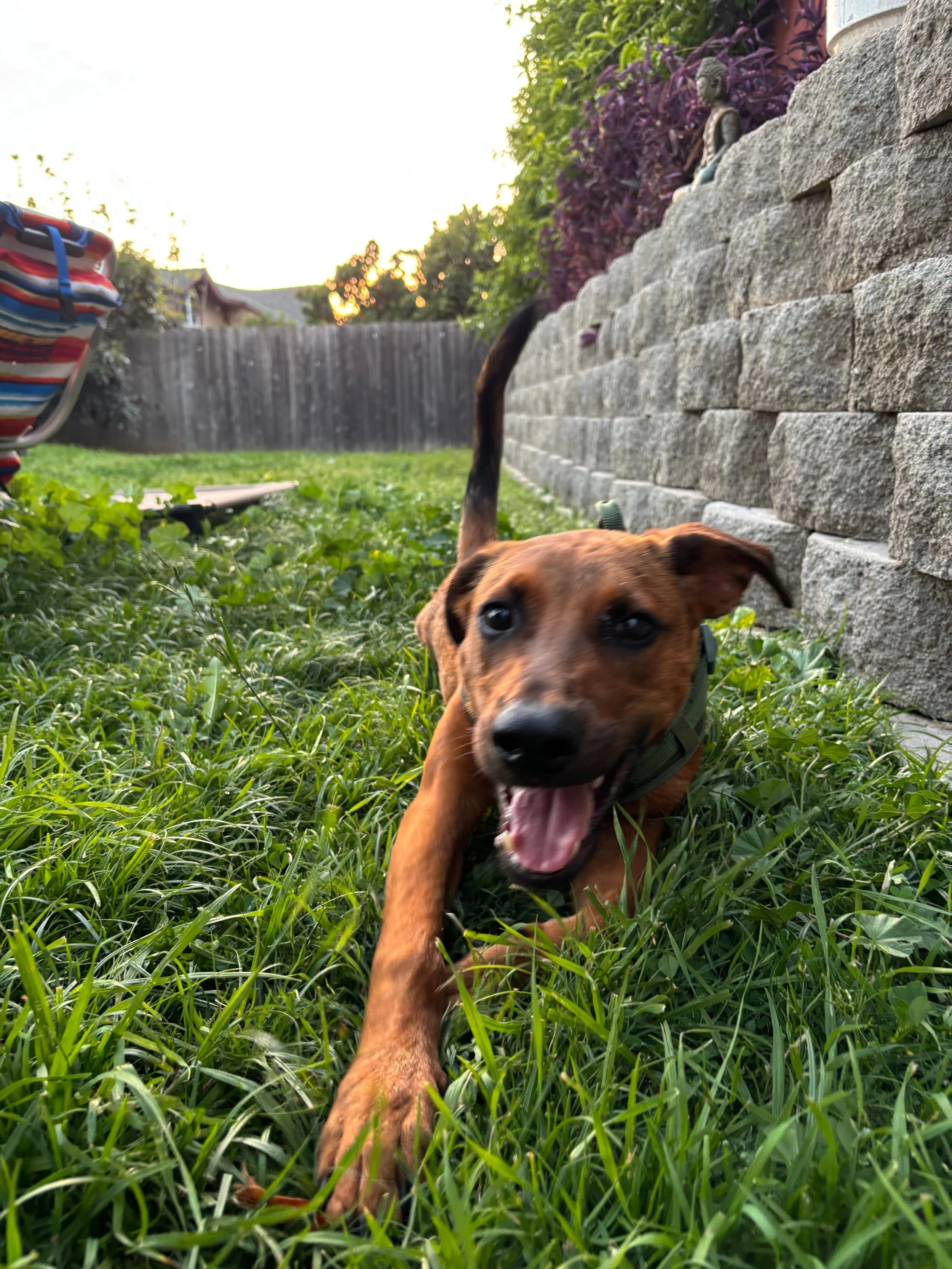 WhatsApp Image 2026-03-10 at 7.51.28 PM (1).jpeg