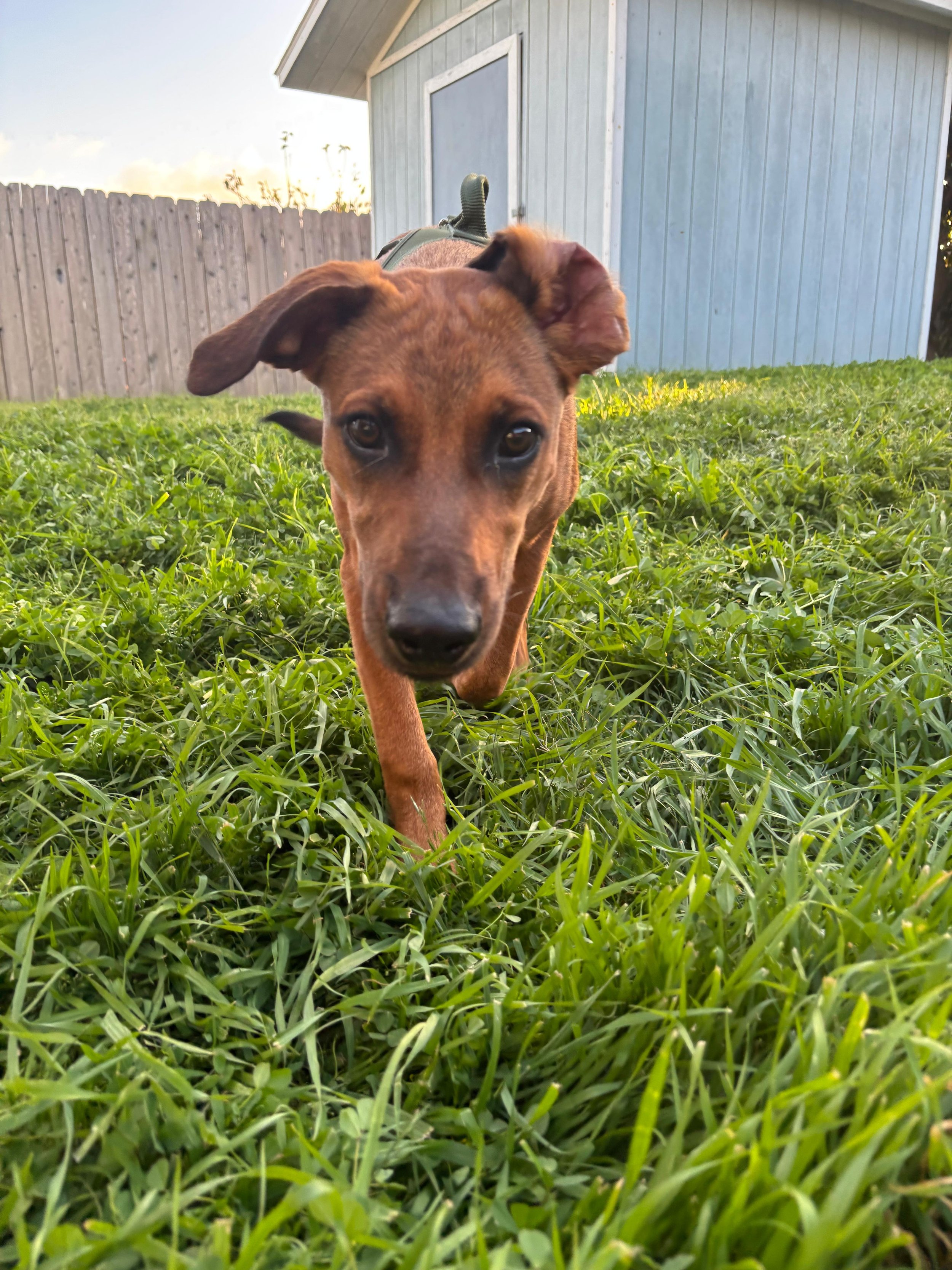 WhatsApp Image 2026-03-10 at 7.51.29 PM (1).jpeg