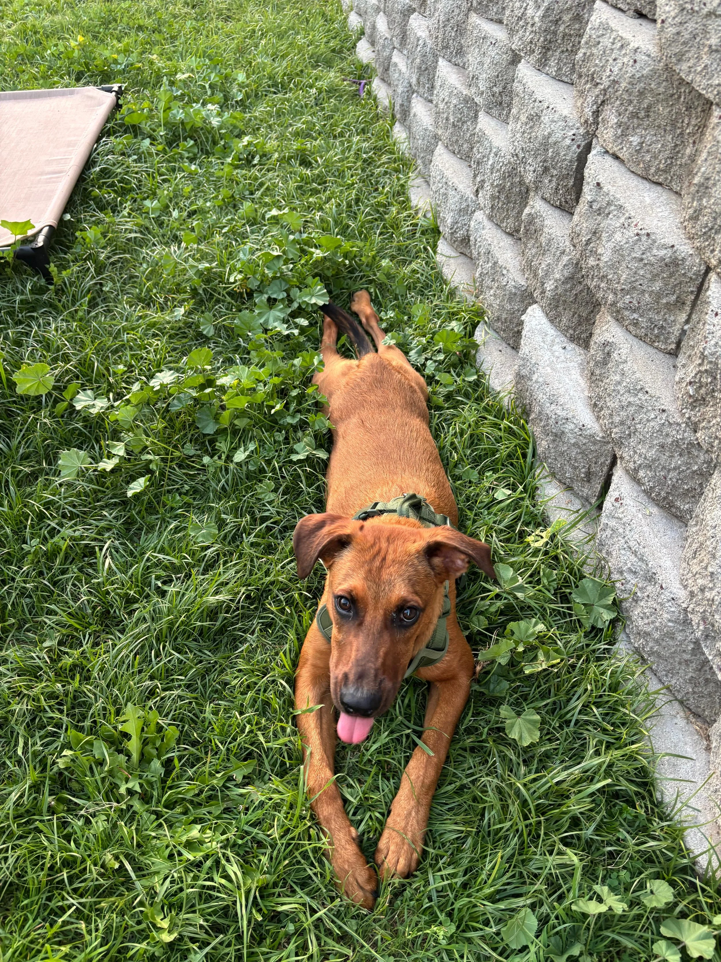 WhatsApp Image 2026-03-10 at 7.51.29 PM.jpeg