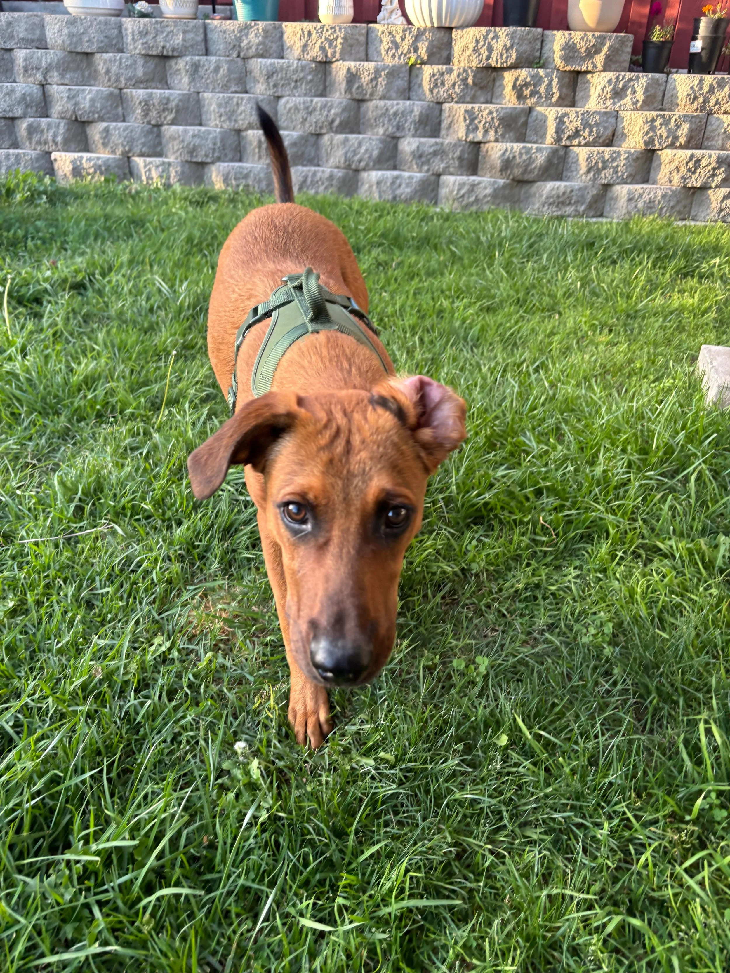 WhatsApp Image 2026-03-10 at 7.51.30 PM.jpeg