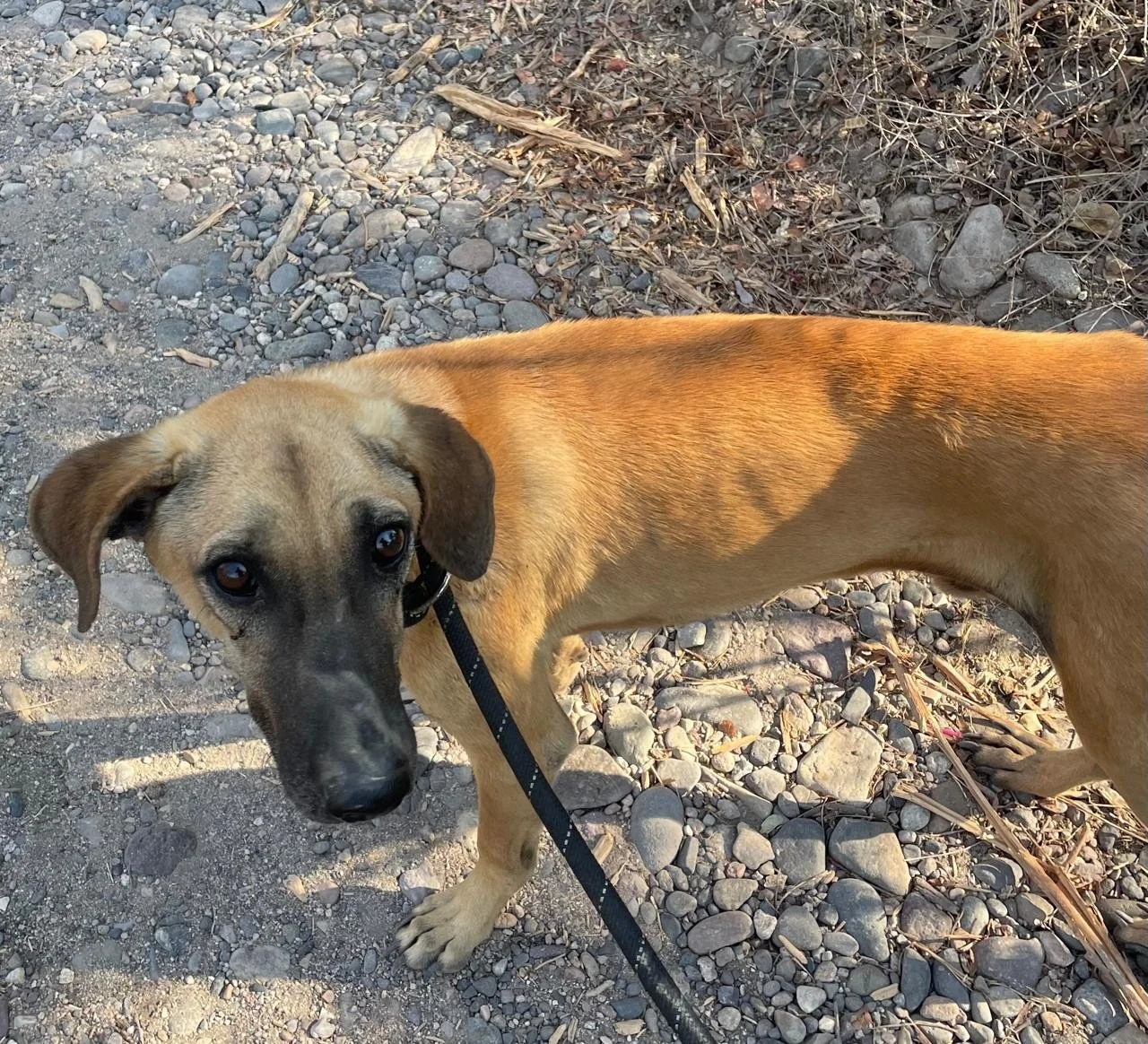 WhatsApp Image 2026-03-14 at 18.24.57.jpeg