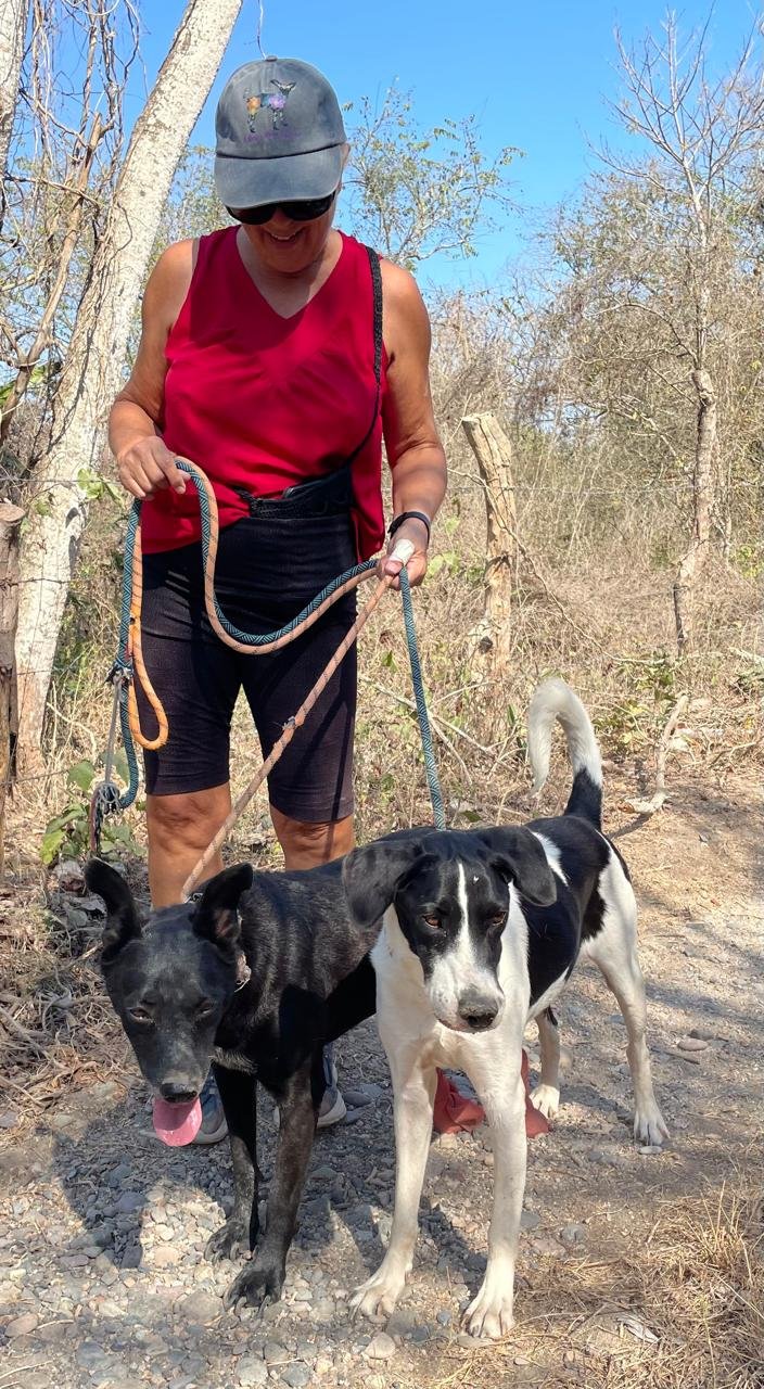 WhatsApp Image 2026-03-14 at 18.22.51.jpeg