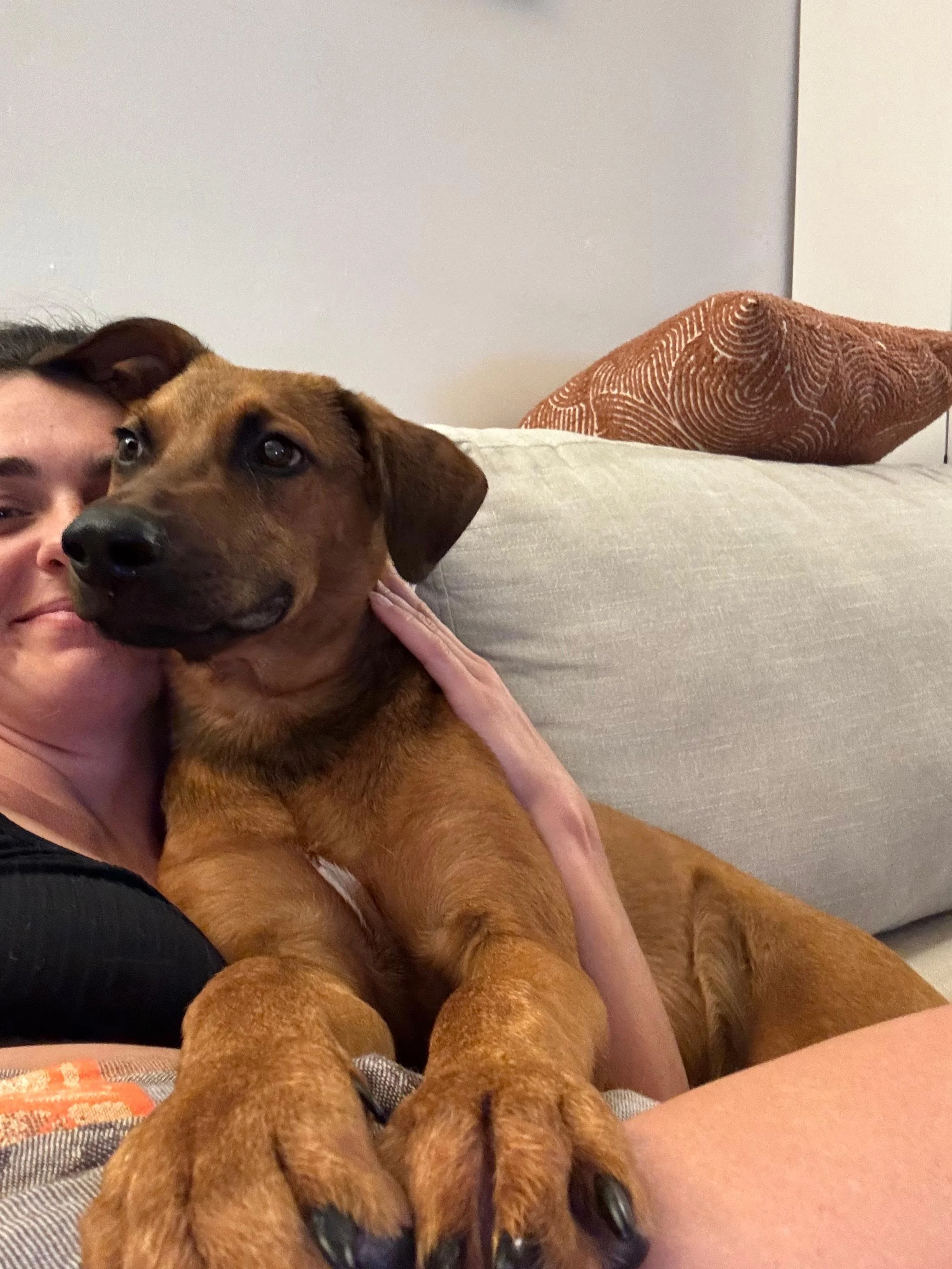 WhatsApp Image 2026-03-16 at 10.09.26 AM (1).jpeg