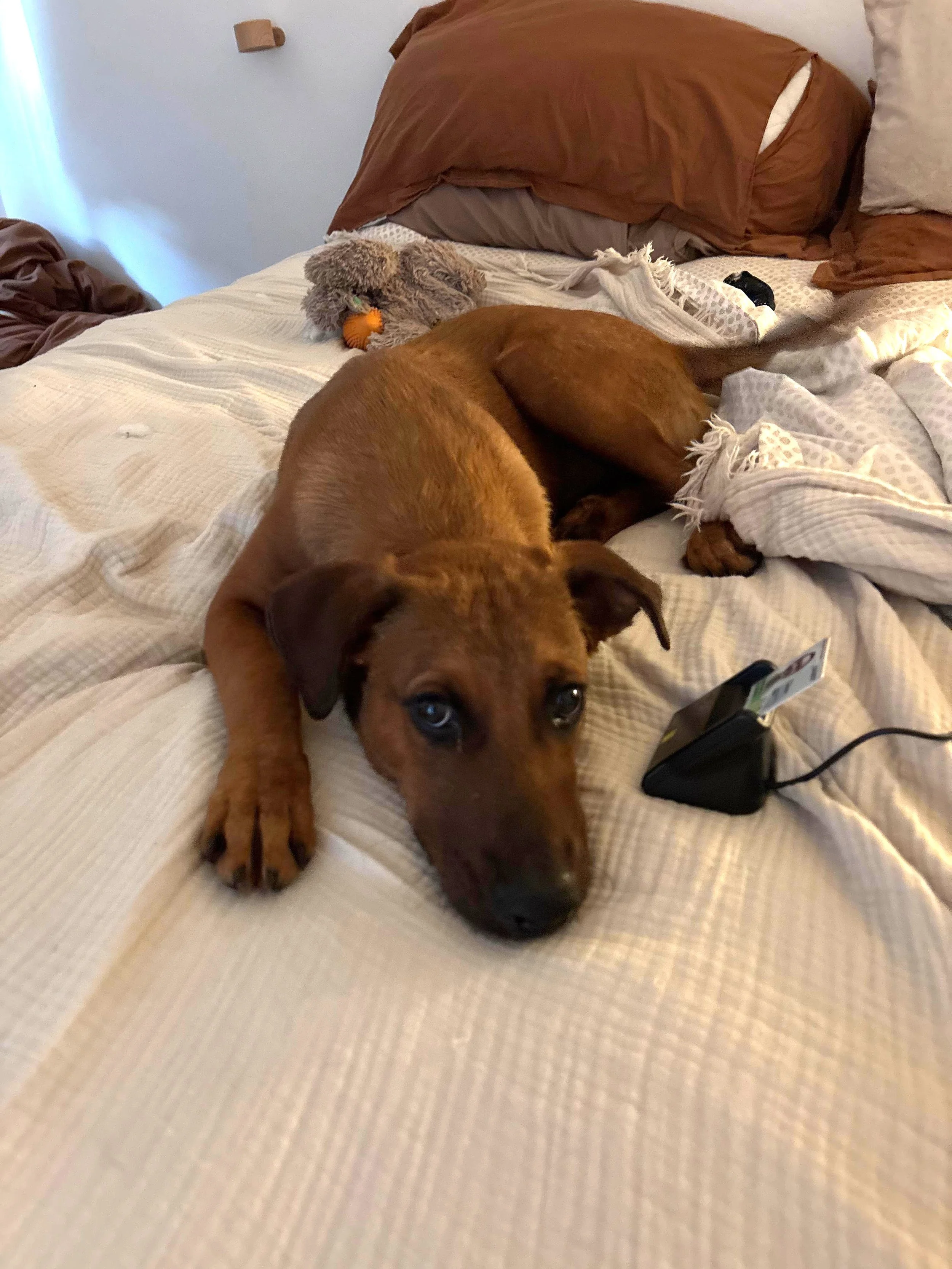 WhatsApp Image 2026-03-16 at 10.09.25 AM (1).jpeg