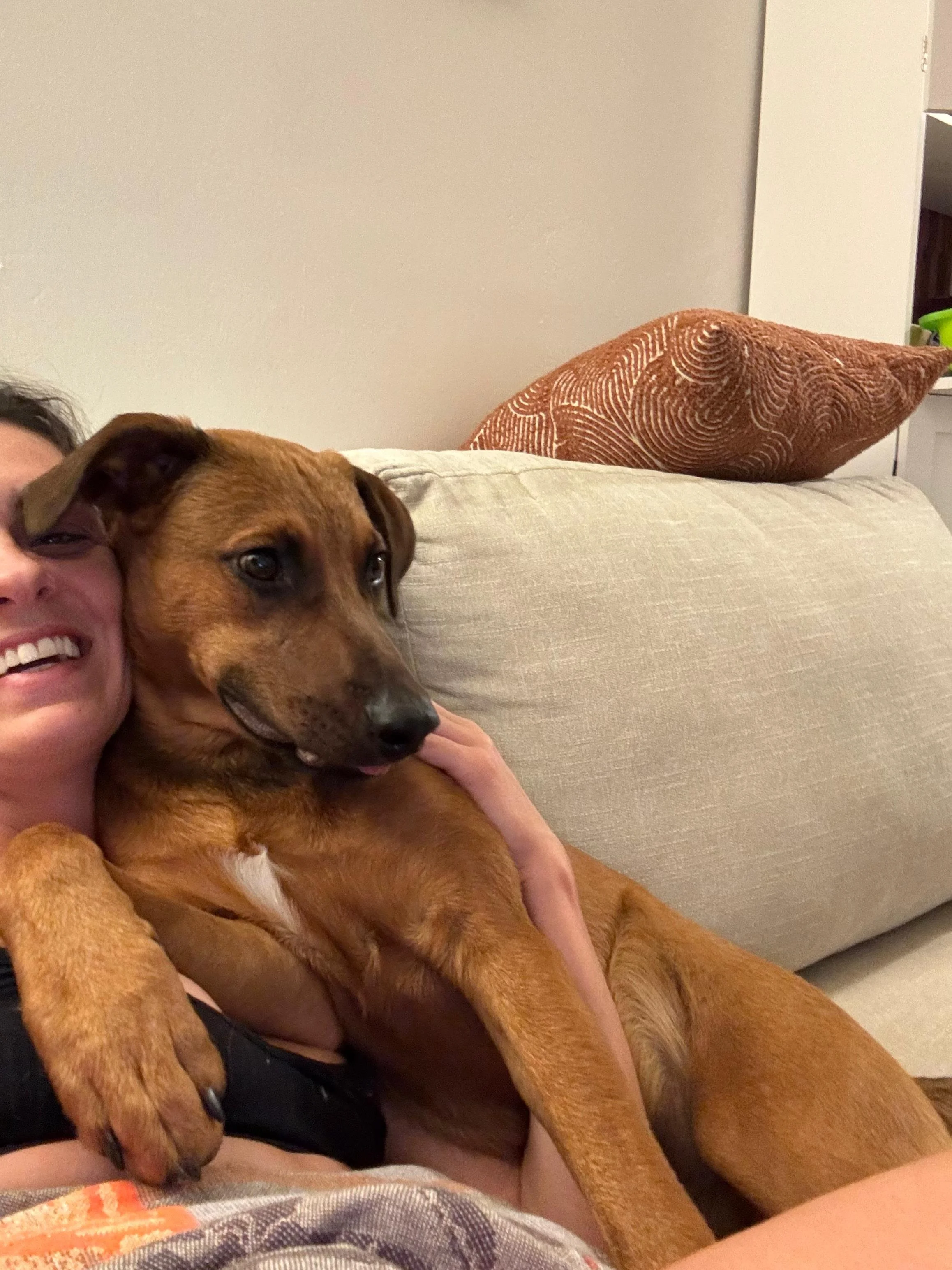 WhatsApp Image 2026-03-16 at 10.09.26 AM.jpeg