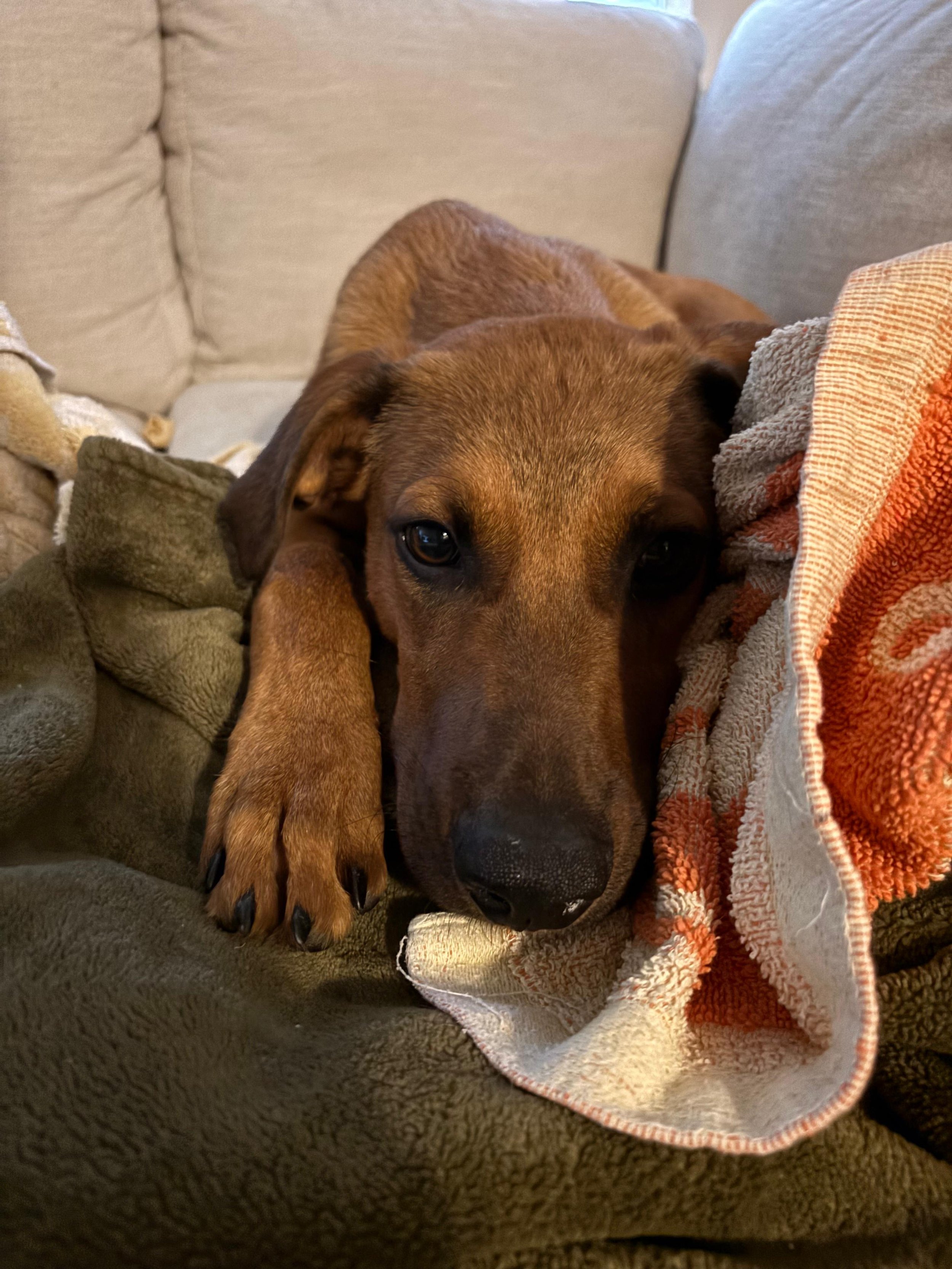 WhatsApp Image 2026-03-16 at 10.09.26 AM (3).jpeg