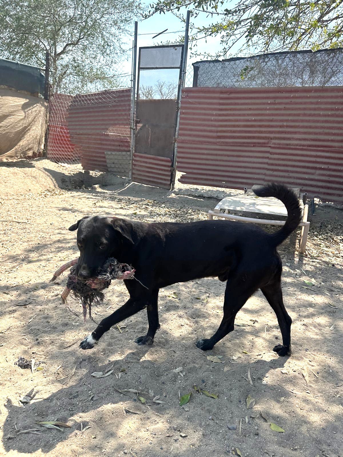 WhatsApp Image 2026-03-12 at 6.28.35 PM.jpeg