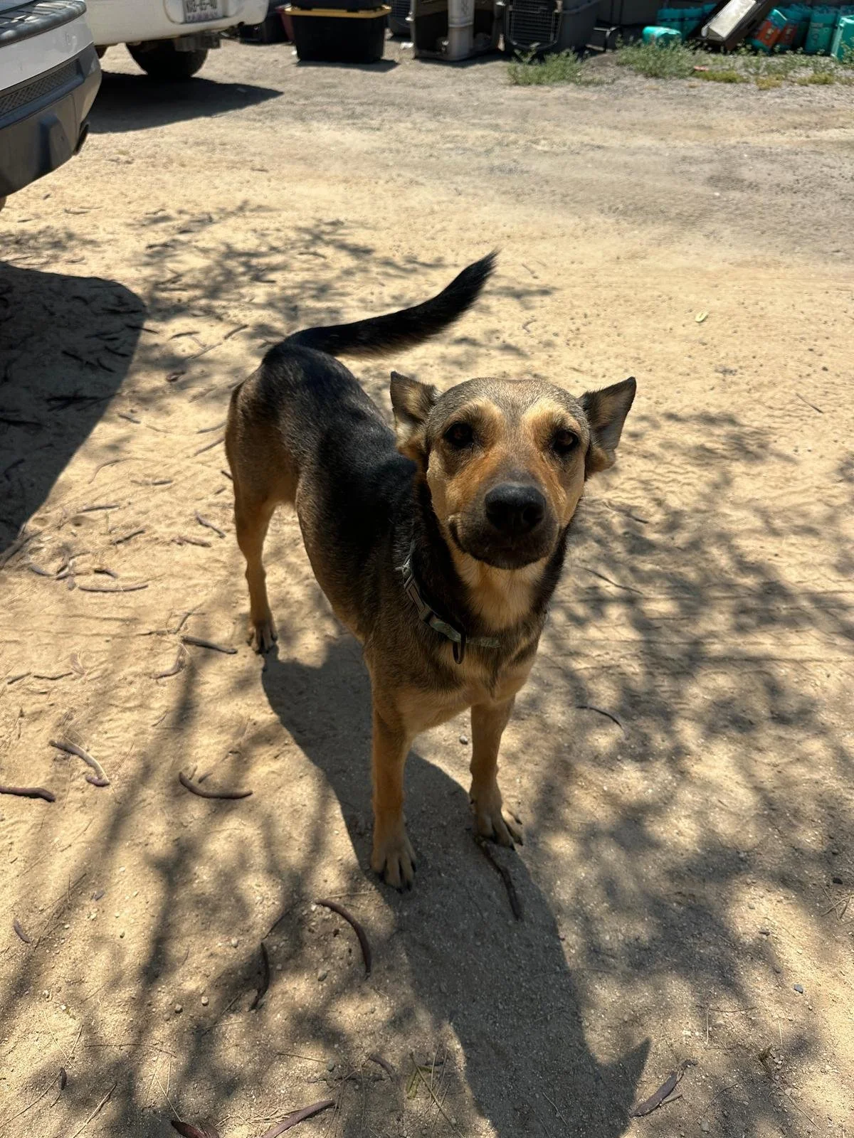 WhatsApp Image 2026-03-16 at 3.26.48 PM (1).jpeg