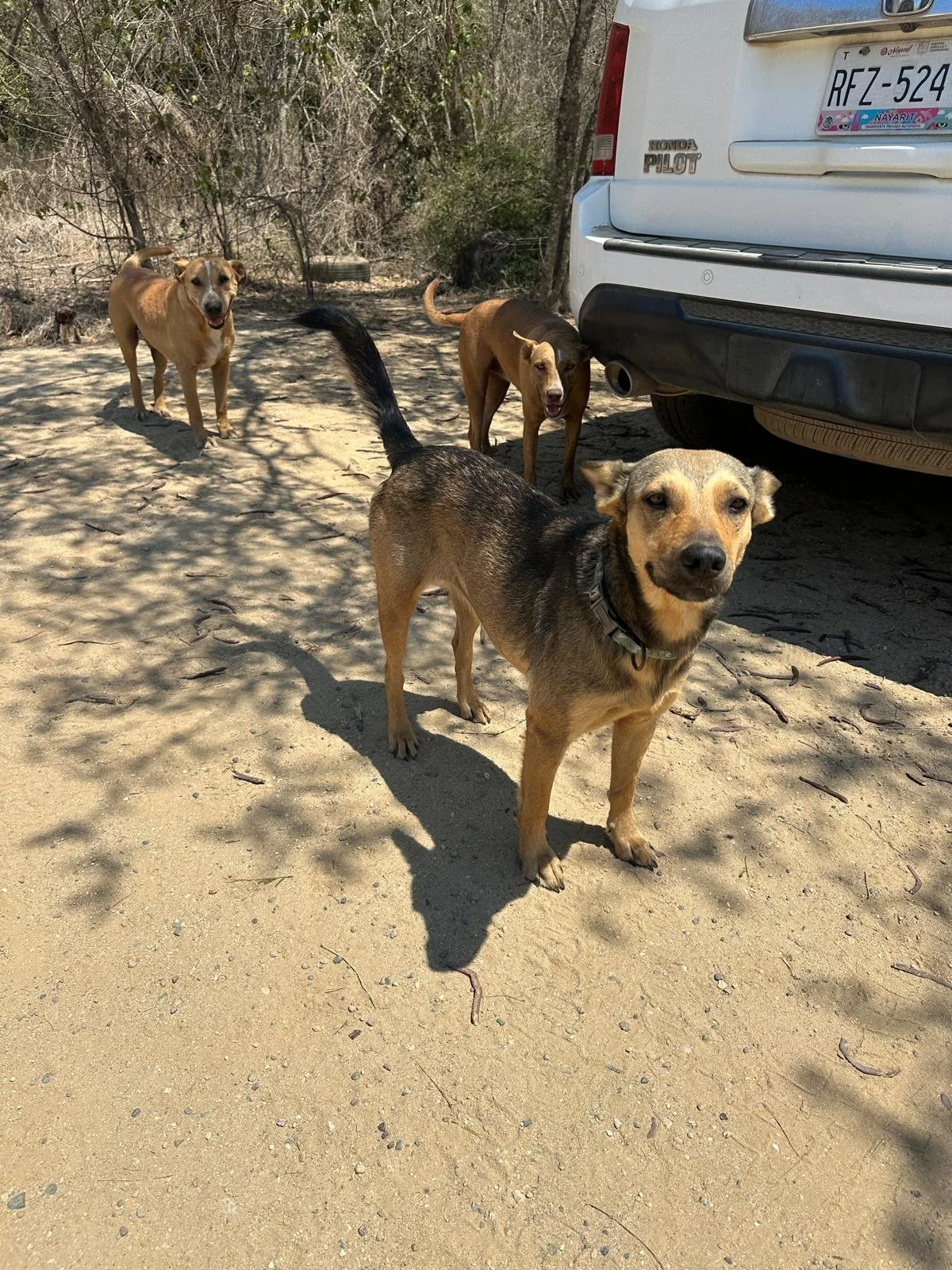 WhatsApp Image 2026-03-16 at 3.26.48 PM.jpeg