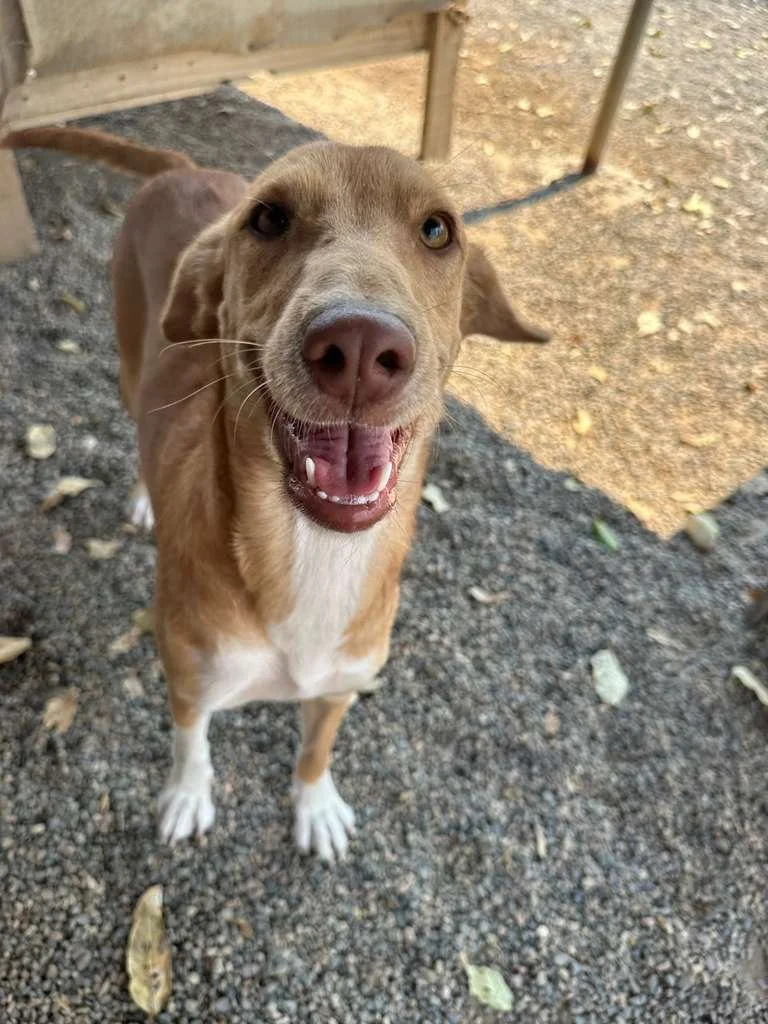 WhatsApp Image 2026-03-16 at 4.14.14 PM (2).jpeg